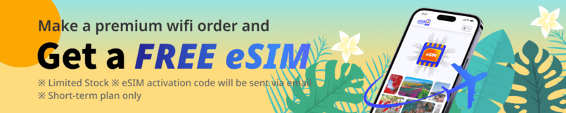 Free eSIM