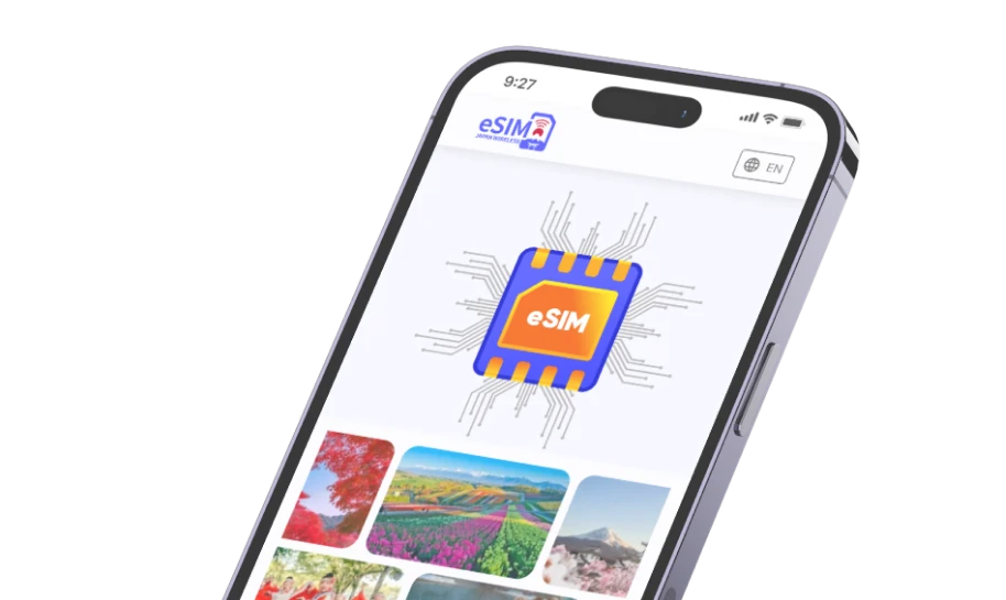 eSIM image.