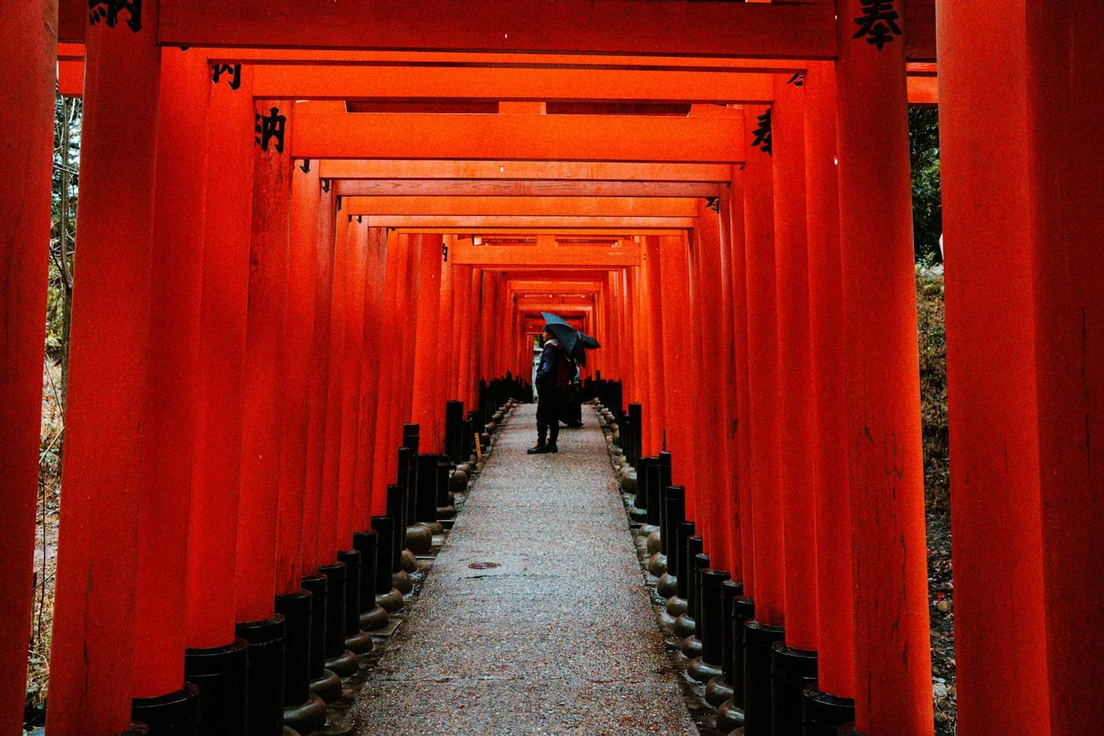 Red torii gates at Fushimi Inari Shrine in Kyoto