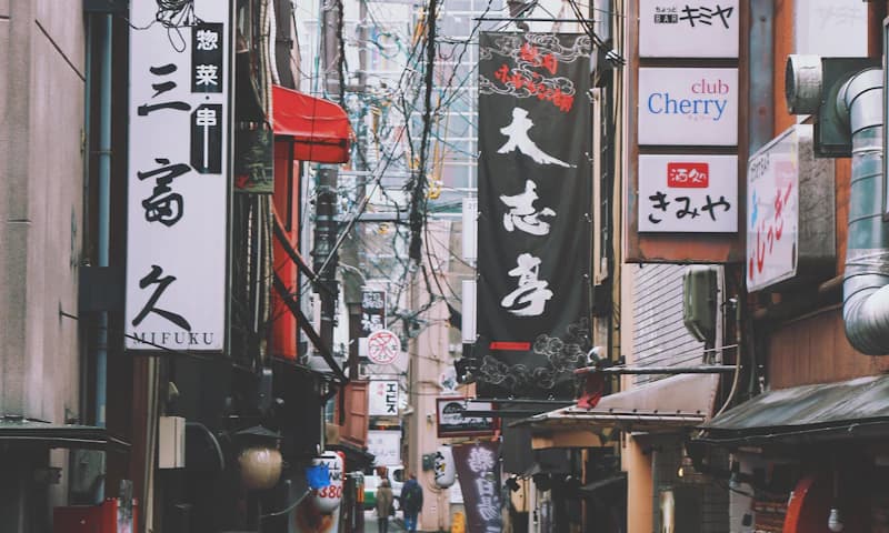 Using a smartphone camera to translate Japanese text